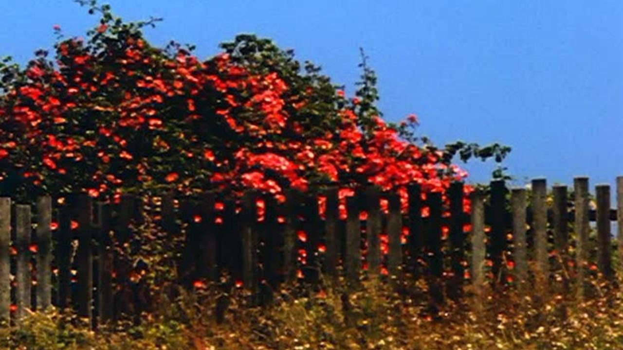 All My Life - 剧照