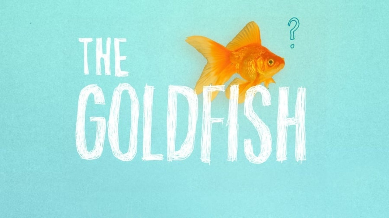 The Goldfish - 剧照