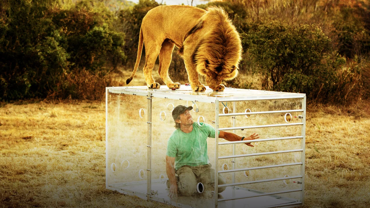 Man V. Lion - 剧照