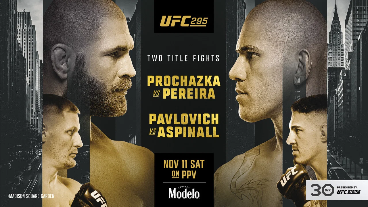 UFC 295: Prochazka vs. Pereira - 剧照