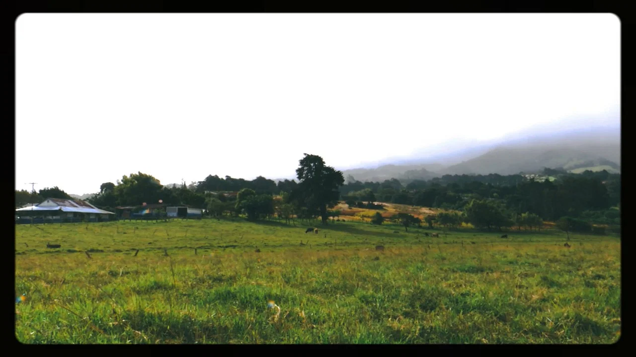 La Trocha - 剧照