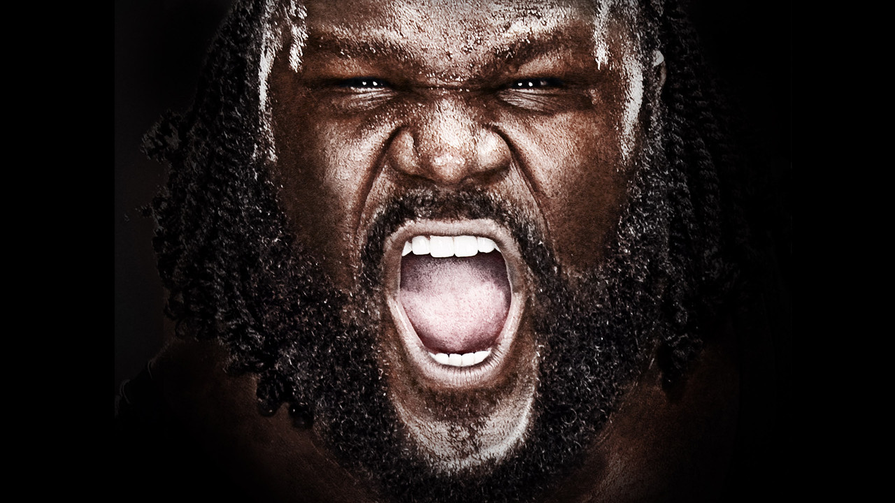 WWE Vengeance 2011 - 剧照