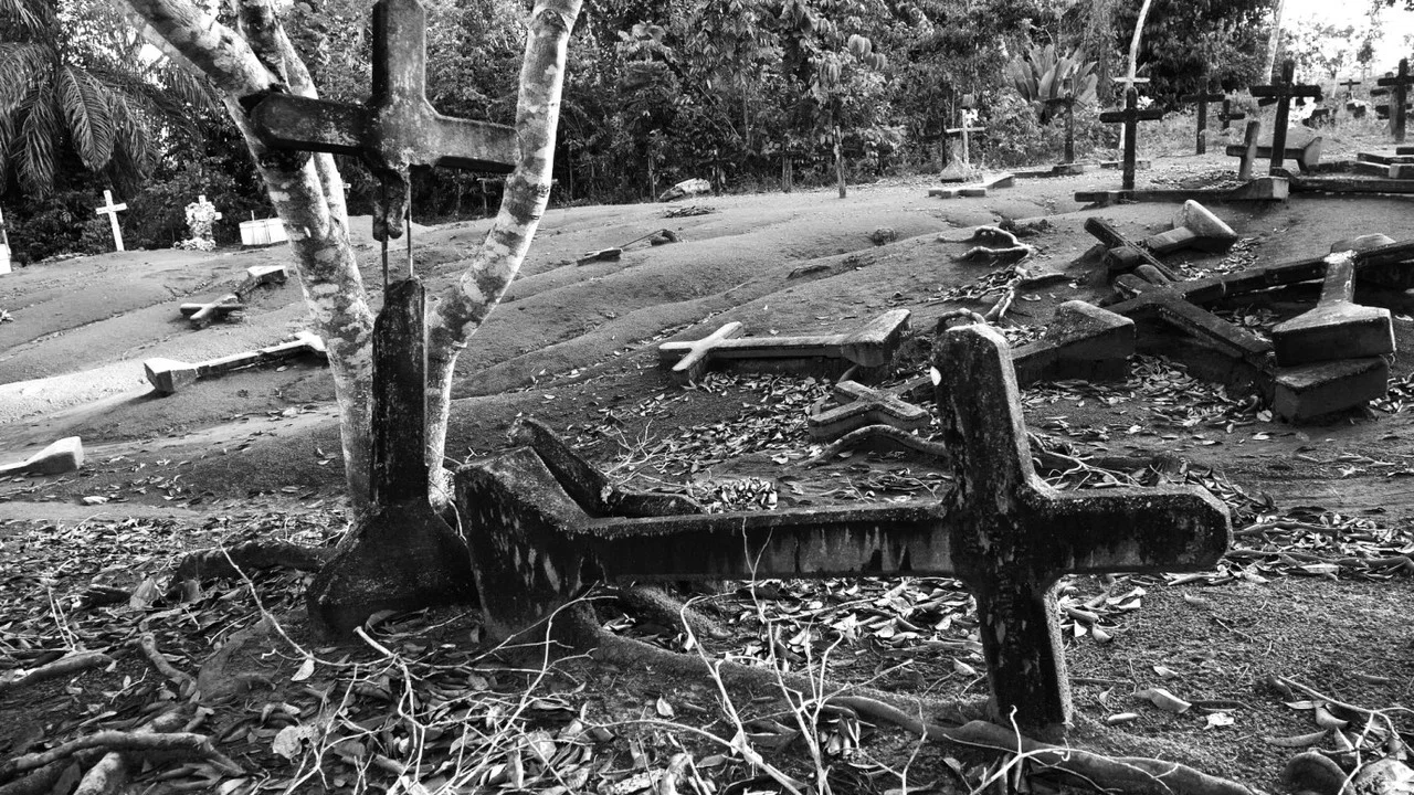 Fordlandia Malaise - 剧照