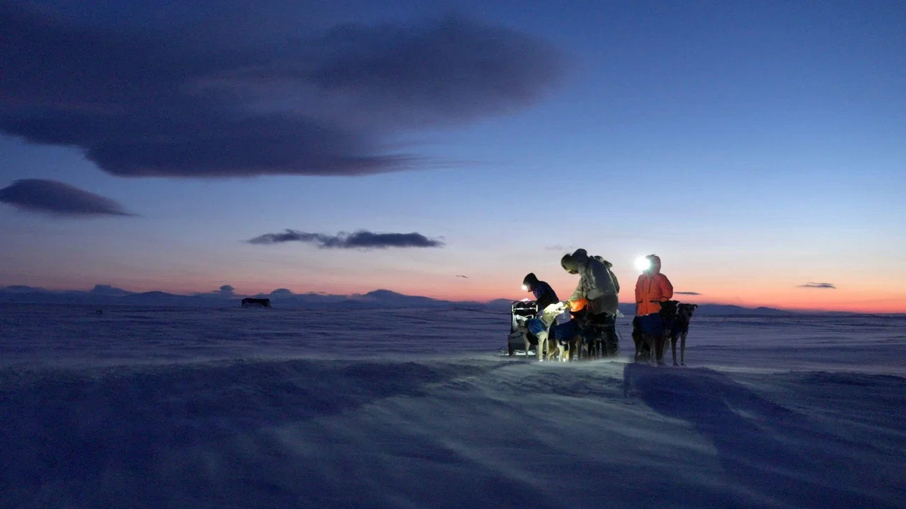 Musher, l'appel de l'Alaska - 剧照