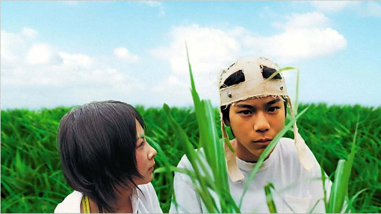 金丝雀 - 剧照