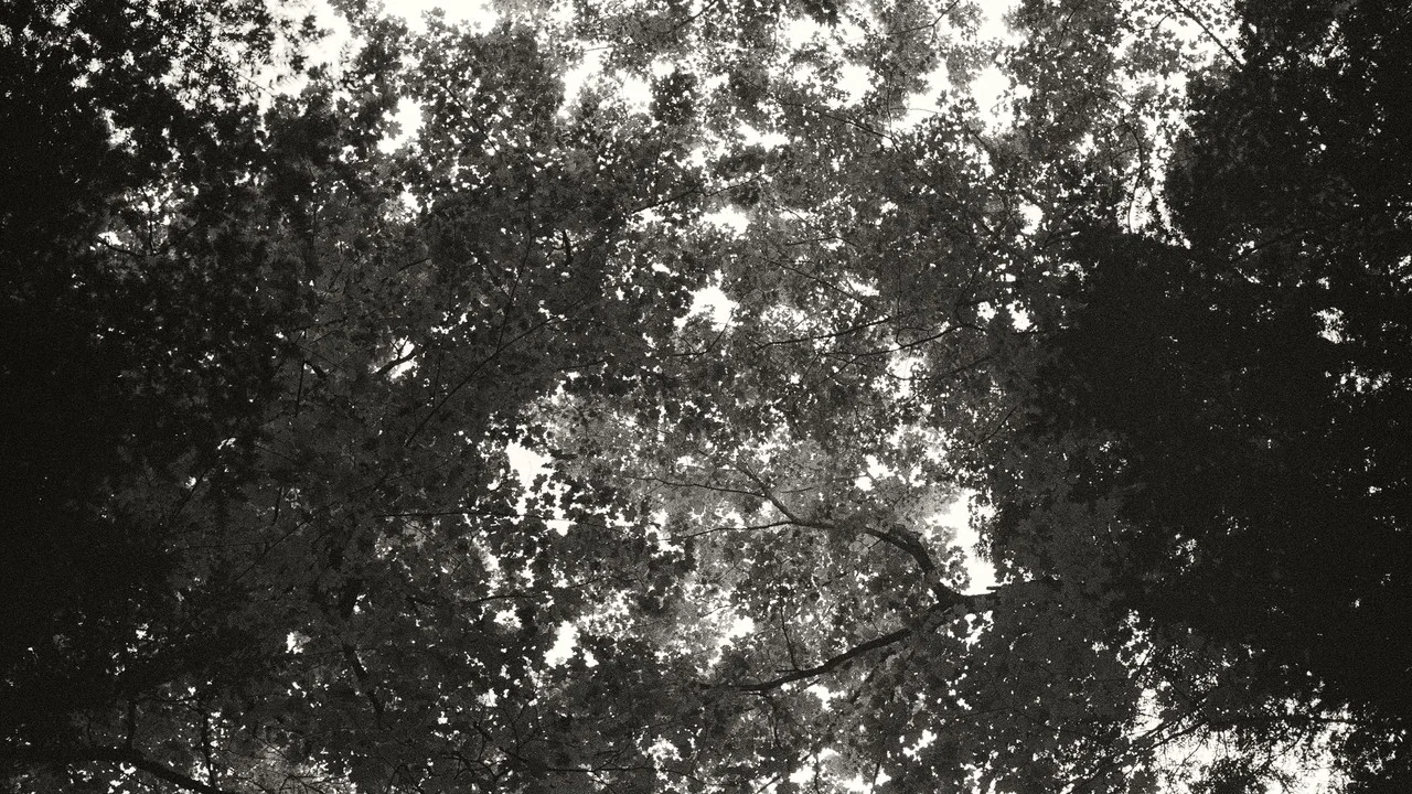 Idle Hours - 剧照