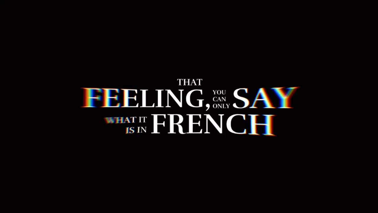 That Feeling, You Can Only Say What It Is In French - 剧照