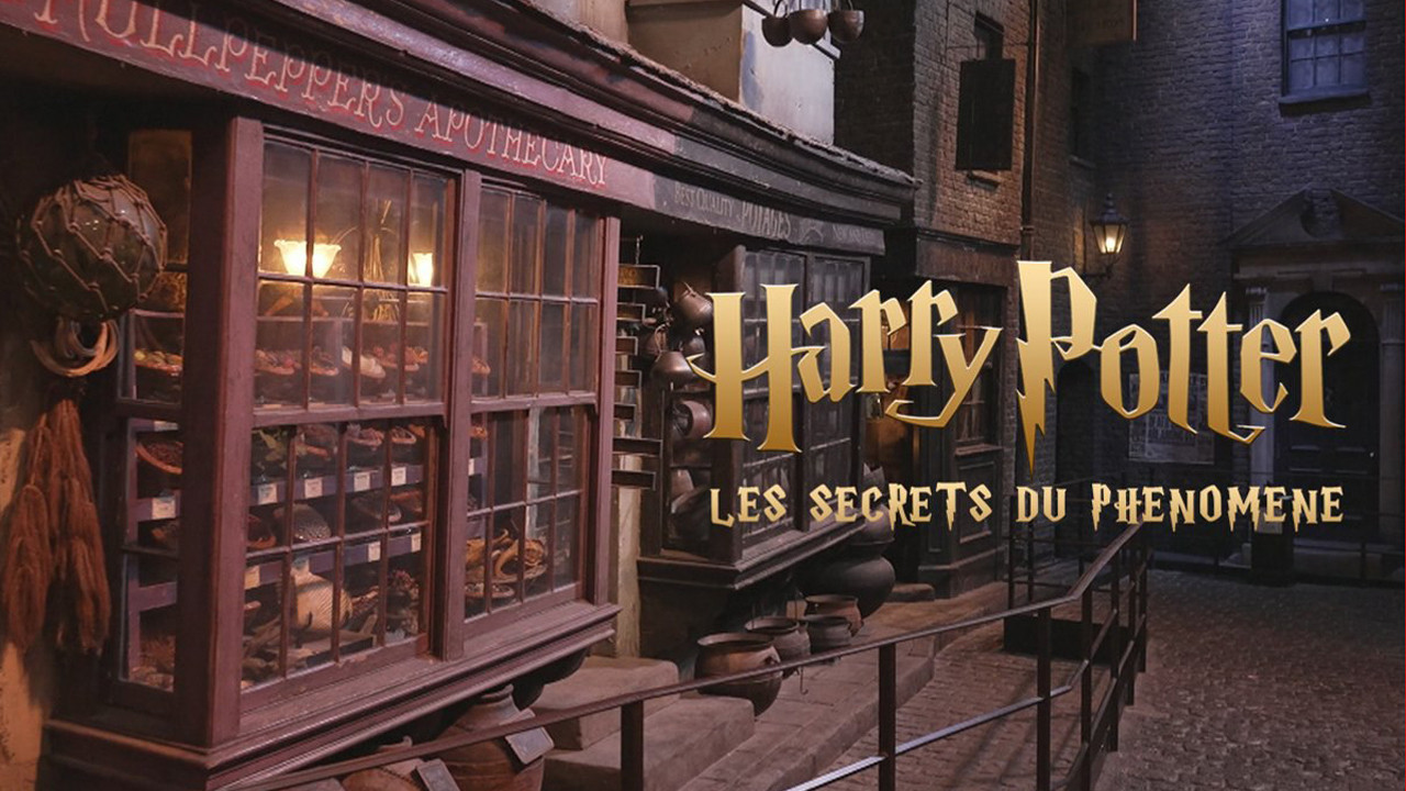 Harry Potter : les secrets du ph&eacute;nom&egrave;ne - 剧照