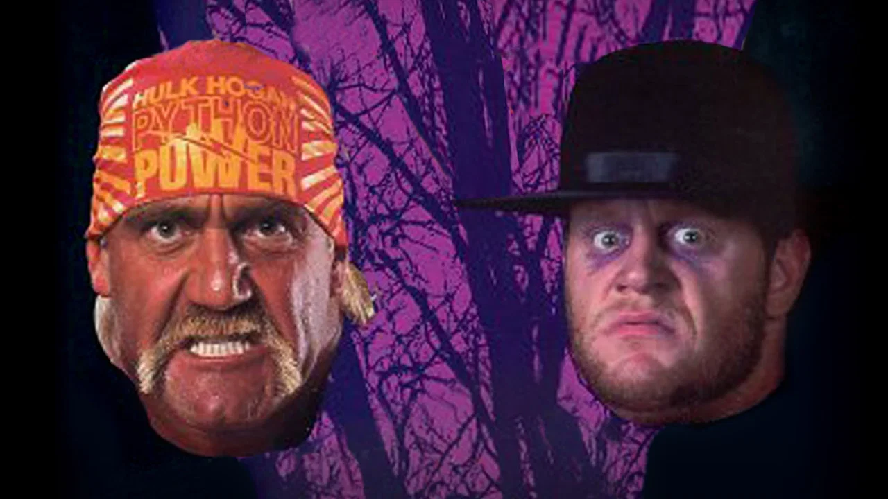 WWE Survivor Series 1991 - 剧照