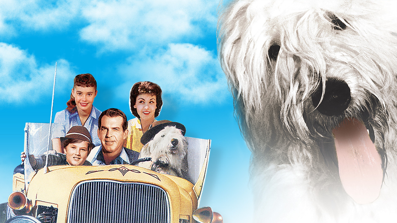 The Shaggy Dog - 剧照