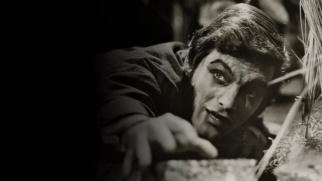 Dark Shadows: The Haunting of Collinwood - 剧照