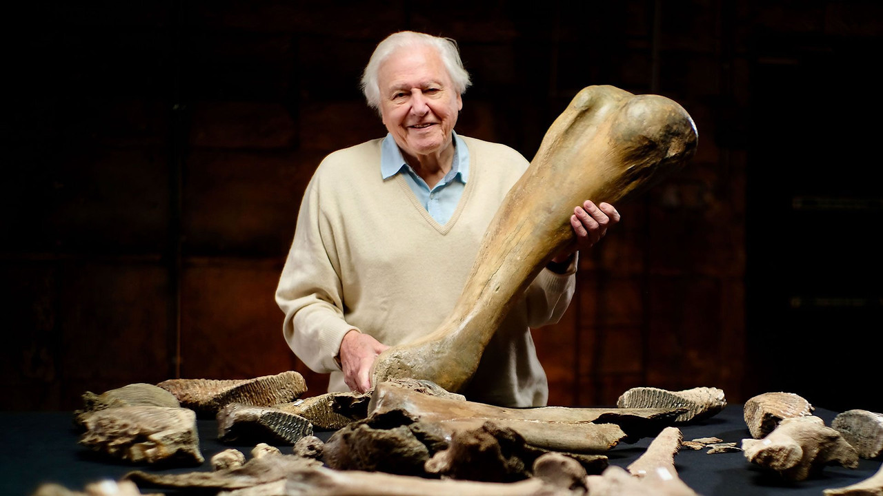 Attenborough and the Mammoth Graveyard - 剧照