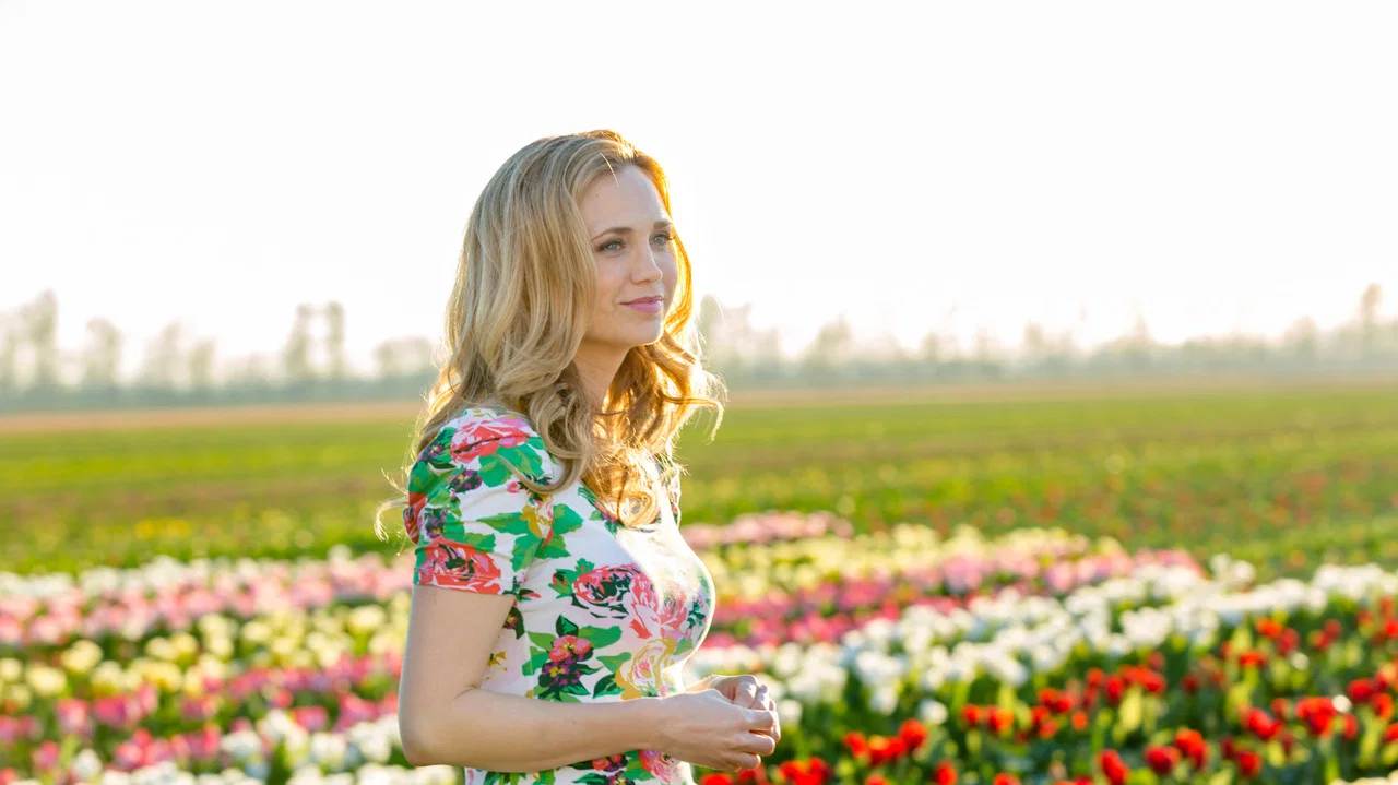 Tulips in Spring - 剧照