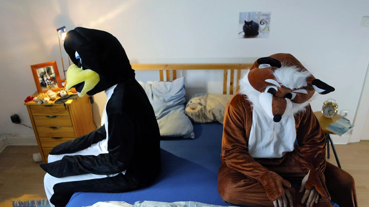 Fuchs & Pinguin - 剧照