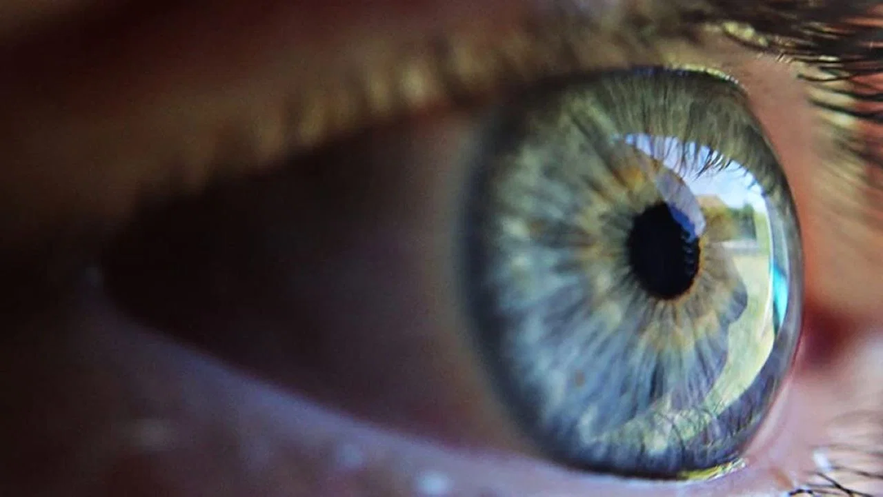 An Eye on You: Citizens Under Surveillance - 剧照