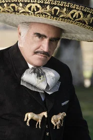 Vicente Fern&aacute;ndez