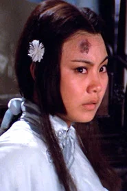 许良美