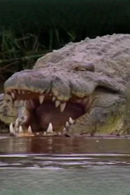 Gustave the Crocodile