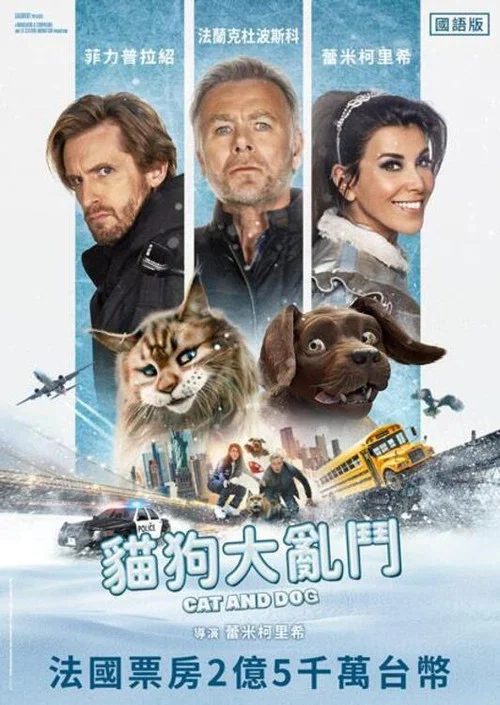 猫狗大乱斗
