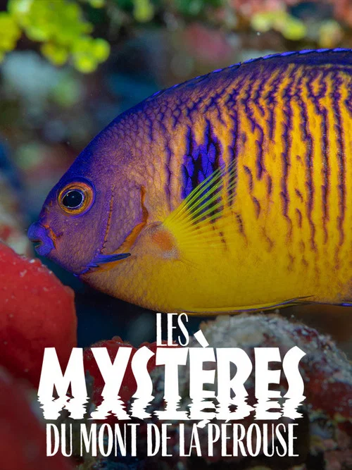 Les Myst&egrave;res du mont La P&eacute;rouse