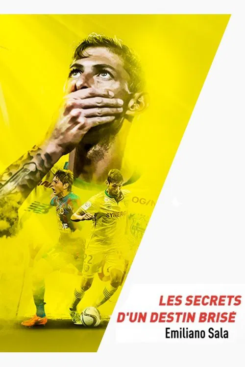 Emiliano Sala, les secrets d'un destin bris&eacute;