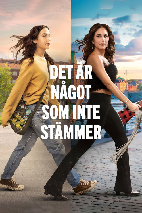 Det &auml;r n&aring;got som inte st&auml;mmer