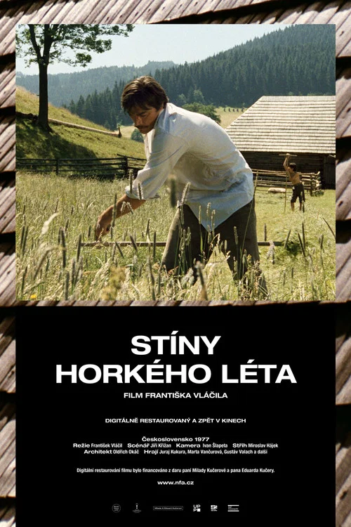 St&iacute;ny hork&eacute;ho l&eacute;ta