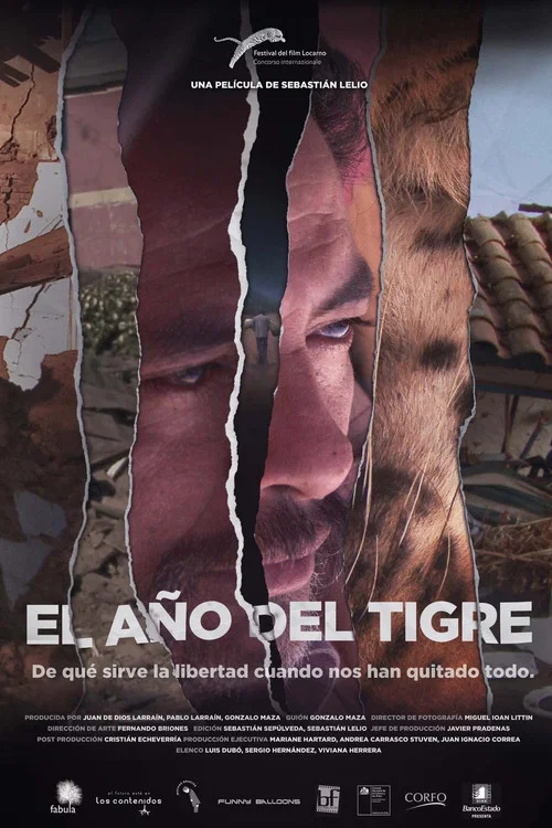 El a&ntilde;o del tigre
