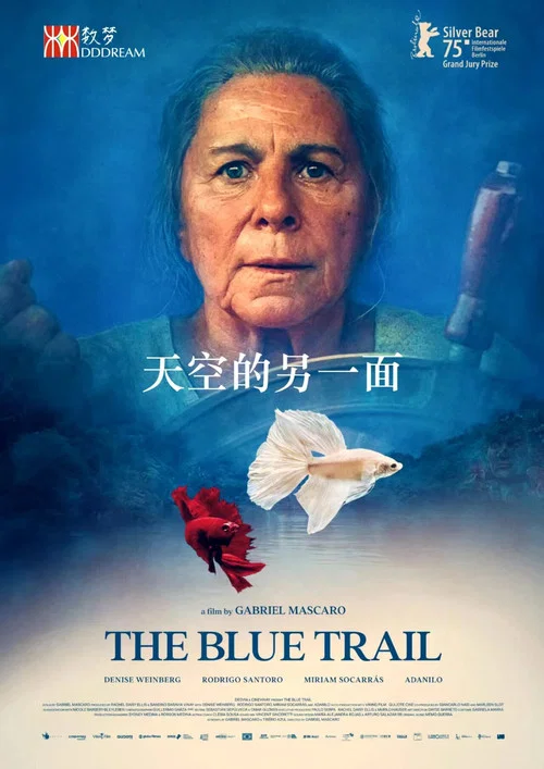 天空的另一面