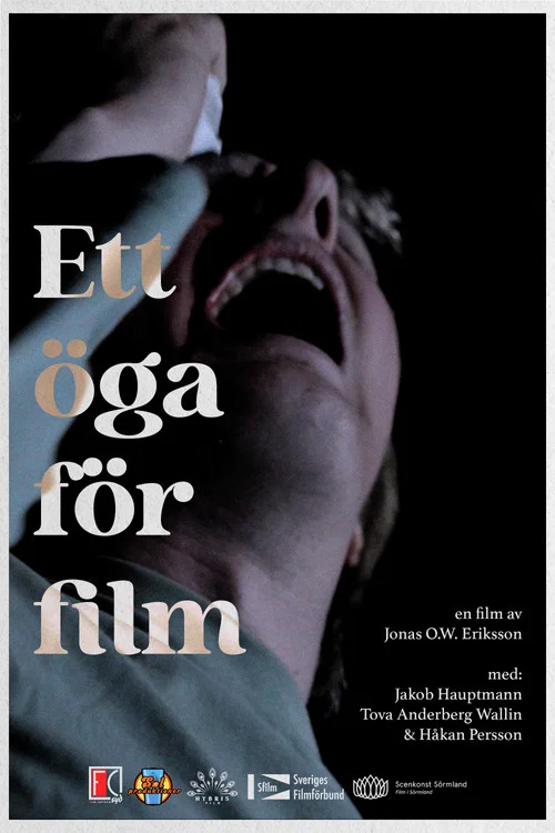 Ett &ouml;ga f&ouml;r film