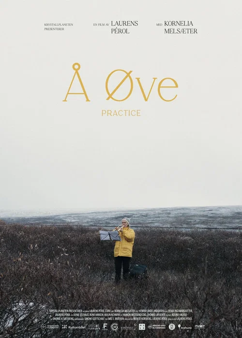 &Aring; &oslash;ve