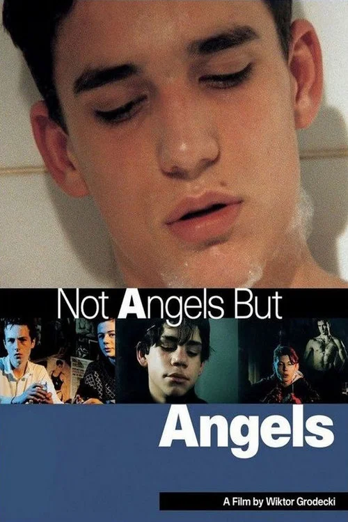 Anděl&eacute; nejsou anděl&eacute;