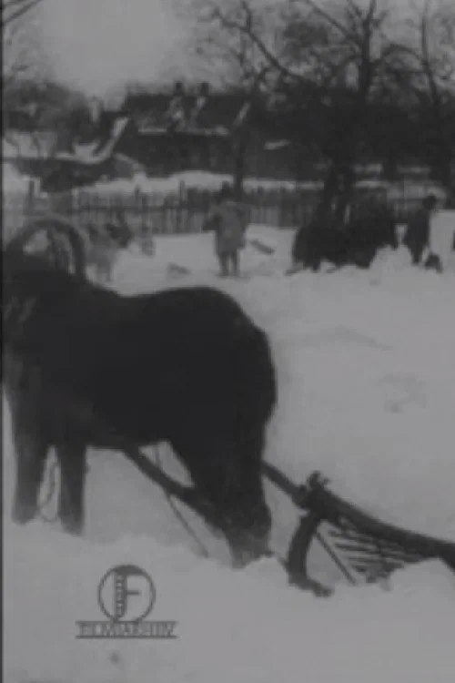 Suur lumetuisk Baltimaal j&otilde;ulukuul 1913