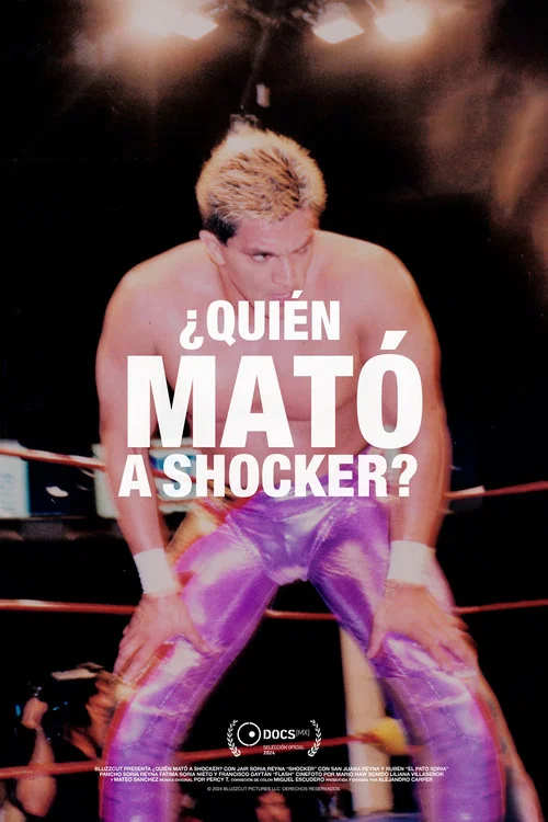 &iquest;Qui&eacute;n mat&oacute; a Shocker?