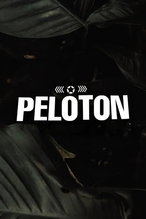 Pelot&oacute;n