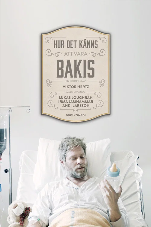 Hur det k&auml;nns att vara bakis