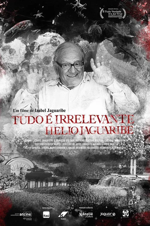 Tudo &eacute; Irrelevante. H&eacute;lio Jaguaribe