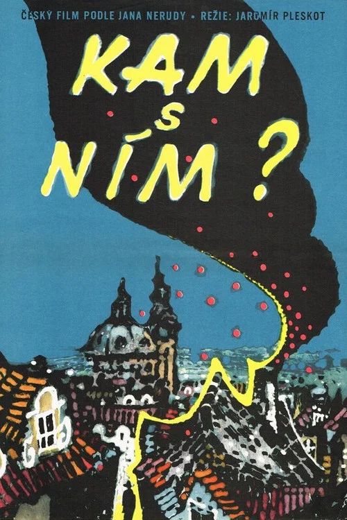 Kam s n&iacute;m?