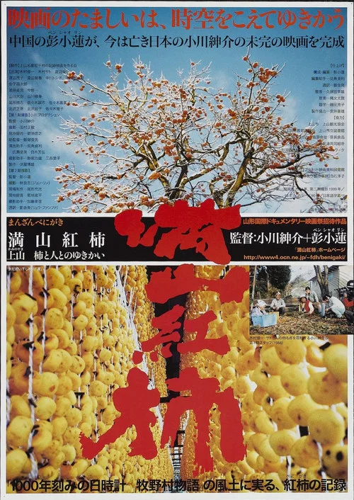 满山红柿