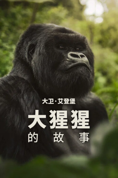 大卫&middot;艾登堡：大猩猩的故事
