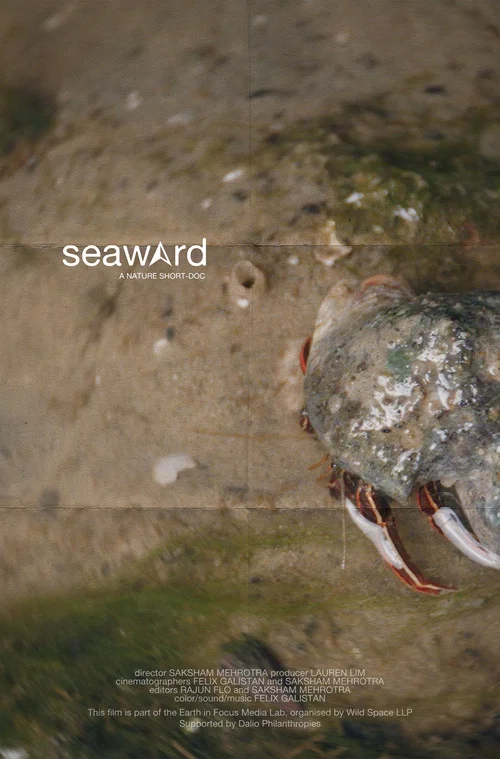 seaward