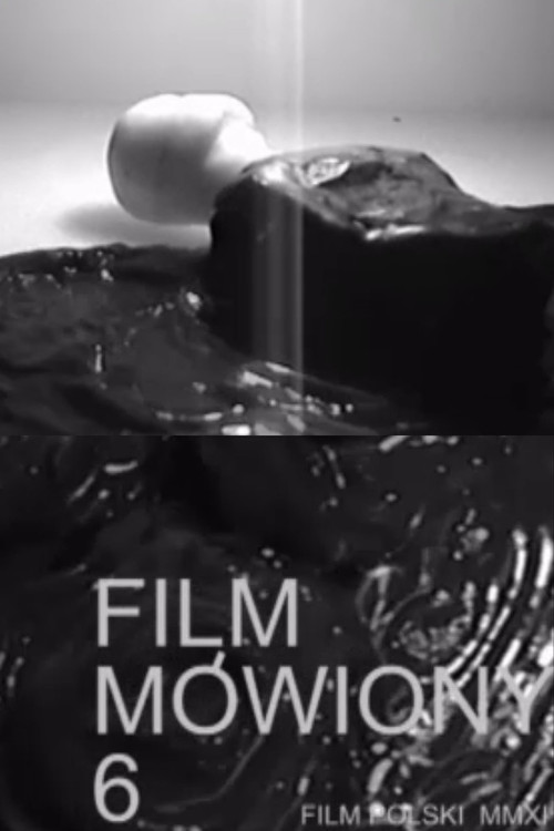 Film m&oacute;wiony 6