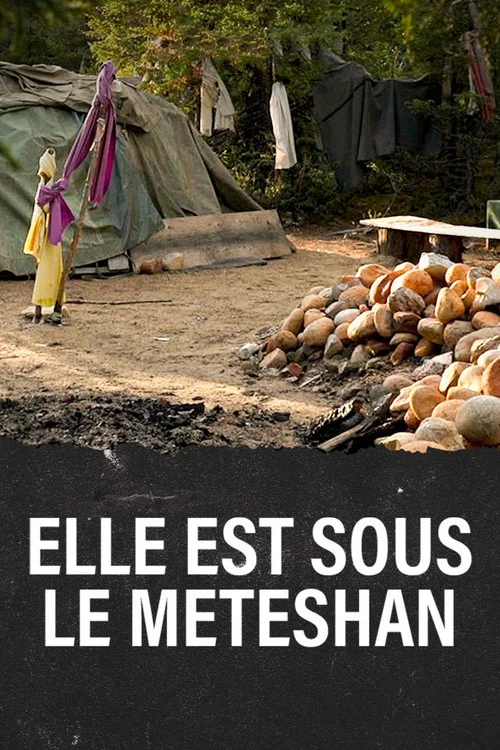 Meteshu innushkueu