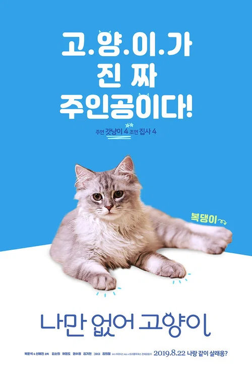 只有我没有猫