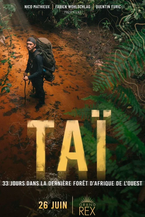 TA&Iuml;: 33 jours dans la derni&egrave;re for&ecirc;t primaire d&rsquo;Afrique de l&rsquo;Ouest