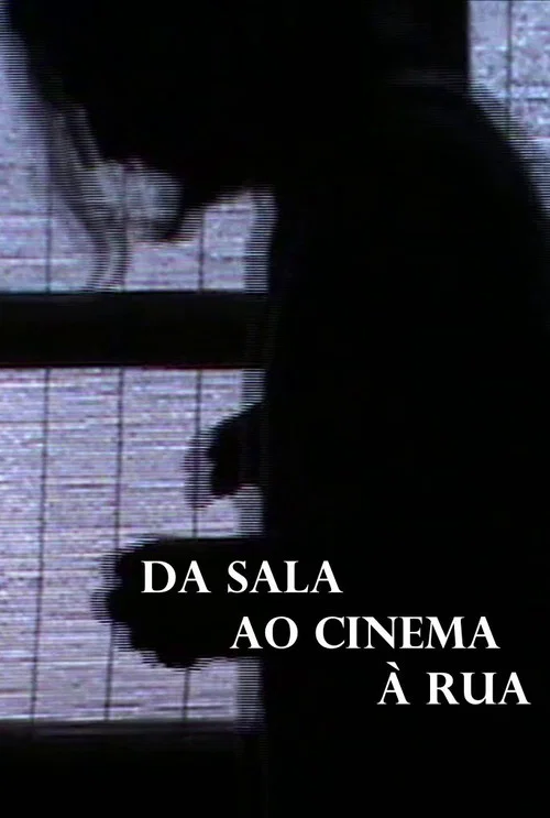 Da Sala ao Cinema &agrave; Rua