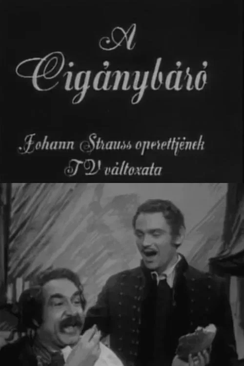A cig&aacute;nyb&aacute;r&oacute;