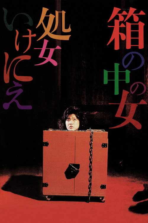箱中女