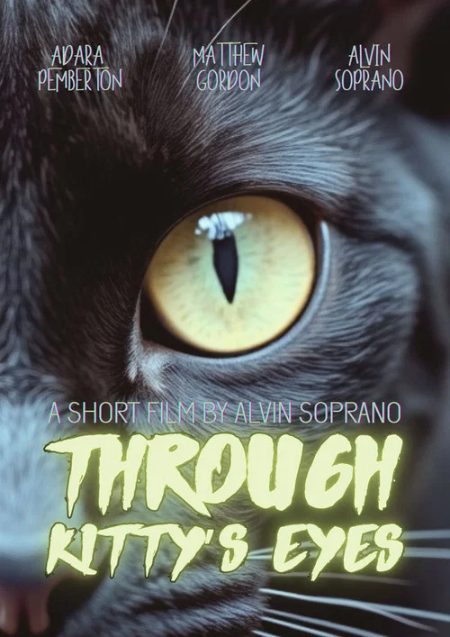 Through Kitty&rsquo;s Eyes
