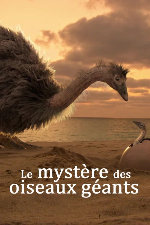 Le myst&egrave;re des oiseaux g&eacute;ants